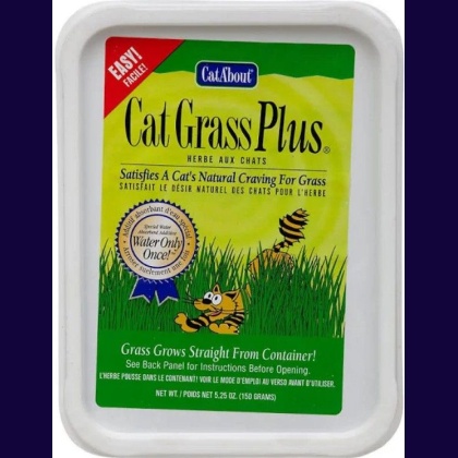 Gimborn Cat-A\'bout Cat Grass Plus Multi-Cat