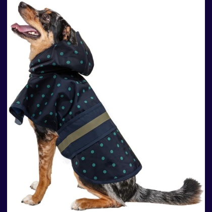 Fashion Pet Polka Dot Dog Raincoat Navy