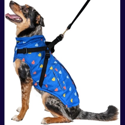 Fashion Pet Puffy Heart Harness Coat Blue