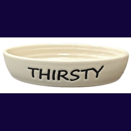 Spot Oval Thirsty Cat dish 6