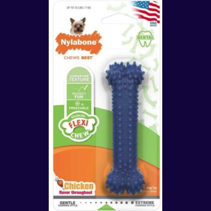 Nylabone Dental Chew Bone - Chicken Flavor