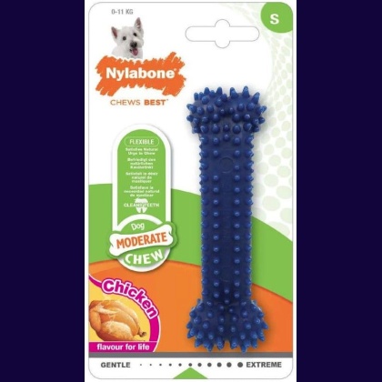 Nylabone Dental Chew Bone - Chicken Flavor