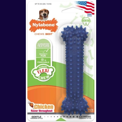 Nylabone Dental Chew Bone - Chicken Flavor