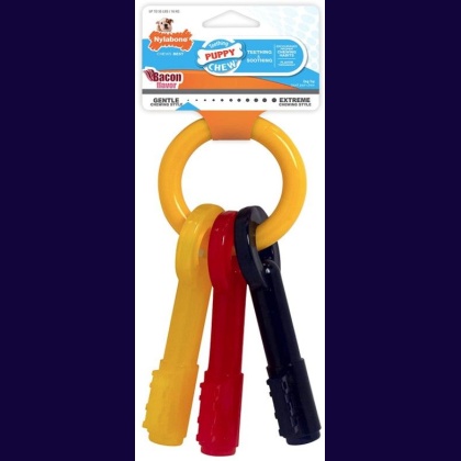 Nylabone Puppy Chew Teething Keys Chew Toy