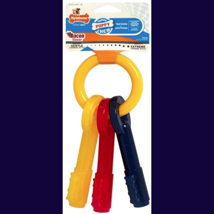 Nylabone Puppy Chew Teething Keys Chew Toy