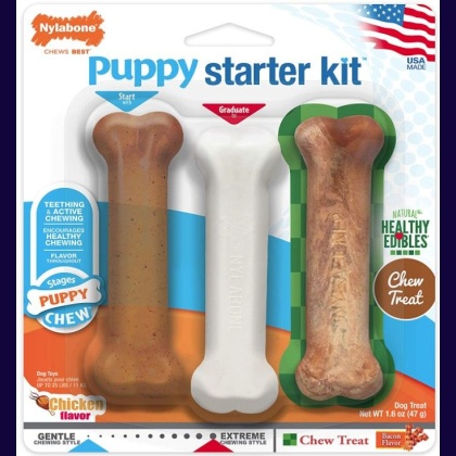 Nylabone Puppy Starter Kit