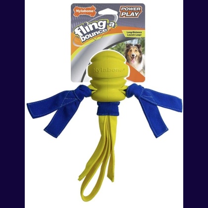 Nylabone Power Play Fling- a-Bounce Fetch 10