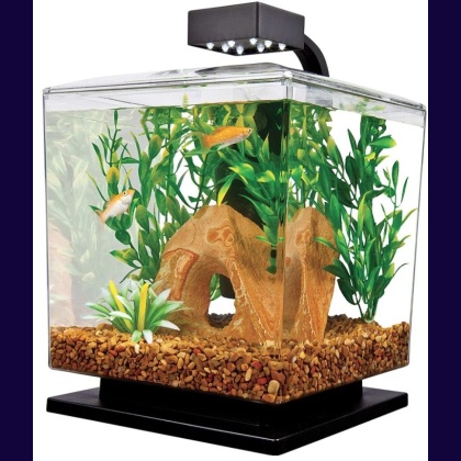 Tetra Cube Aquarium Kit with LED Lighting