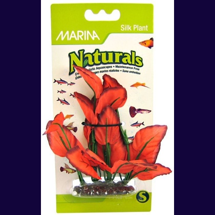 Marina Silk Foreground Aquarium Plant - Red