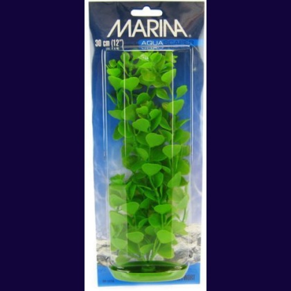 Marina Aquascaper Moneywort Plant