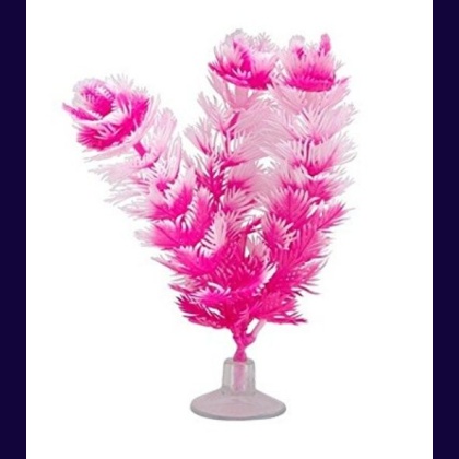 Marina Betta Foxtail Hot Pink/White Plastic Plant