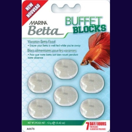 Marina Betta Buffet Blocks 7 Day Vacation Food