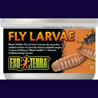 Exo Terra Canned Black Soldier Fly Larvae Specialty Reptile Food