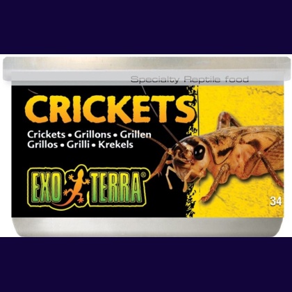 Exo Terra Canned Crickets Specialty Reptile Food