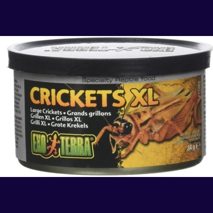 Exo Terra Canned Crickets XL Specialty Reptile Food