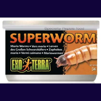 Exo Terra Canned Superworms Specialty Reptile Food