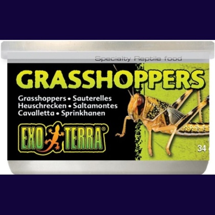 Exo-Terra Grasshoppers Reptile Food