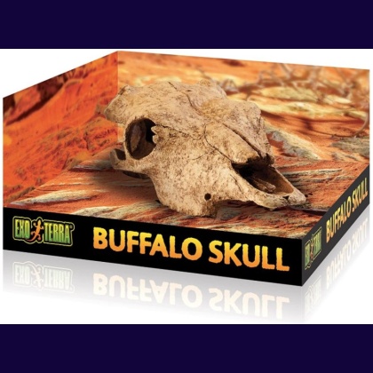 Exo Terra Terrarium Buffalo Skull Decoration