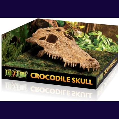 Exo Terra Terrarium Crocodile Skull Decoration