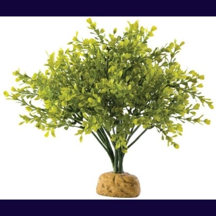 Exo Terra Boxwood Bush Terrarium Plant