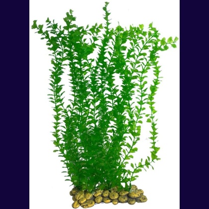 Yup Aquarium Decor Wall of Plants - Anacharis