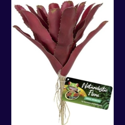 Zoo Med Naturalistic Flora Fireball Bromeliad