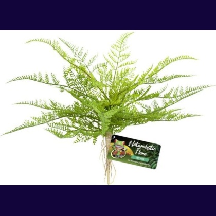 Zoo Med Naturalistic Flora Lace Fern