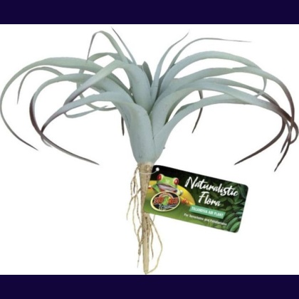 Zoo Med Naturalistic Flora Tillandsia Air Plant