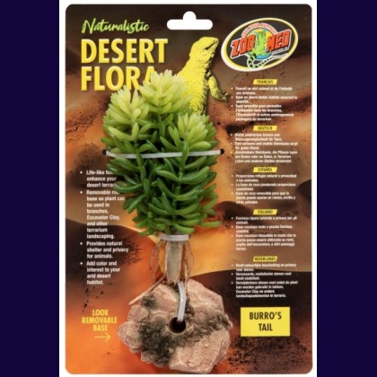 Zoo Med Burros Tail Desert Flora Terrarium Plant