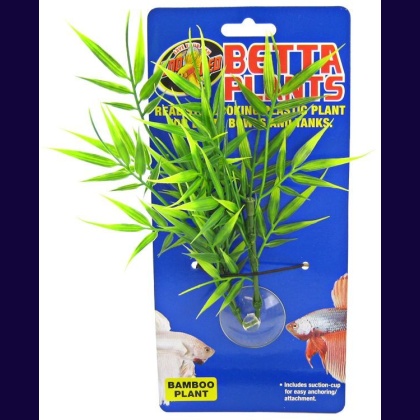 Zoo Med Aquatic Betta Plants - Bamboo