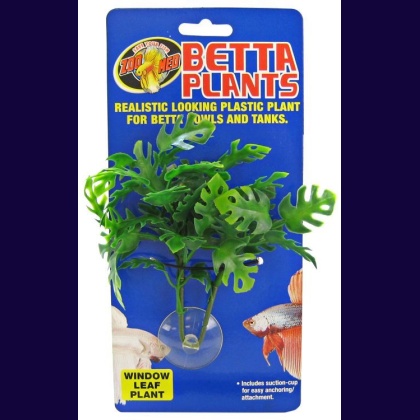 Zoo Med Aquatic Betta Plants - Window Leaf Plant