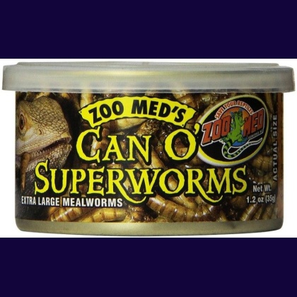 Zoo Med Can O Superworms Extra Large Mealworms